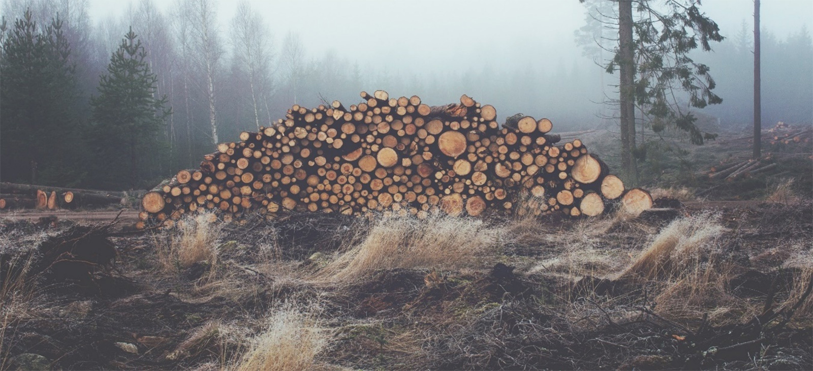 1632723050738020.jpg p-1.jpg