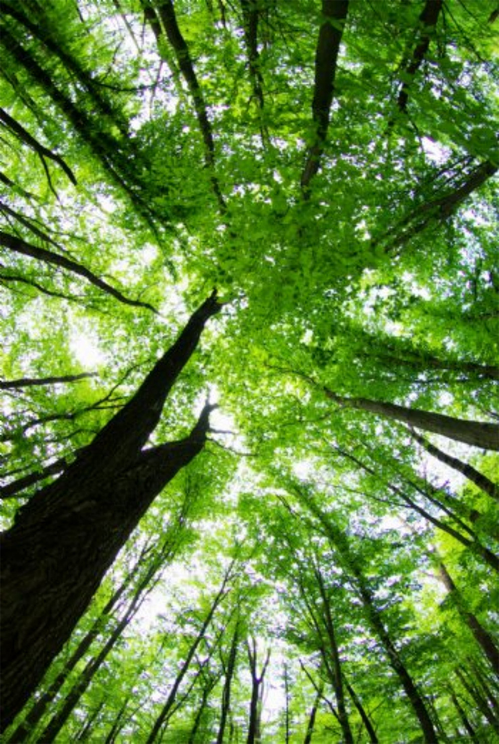 1632723445875887.jpg p-2.jpg