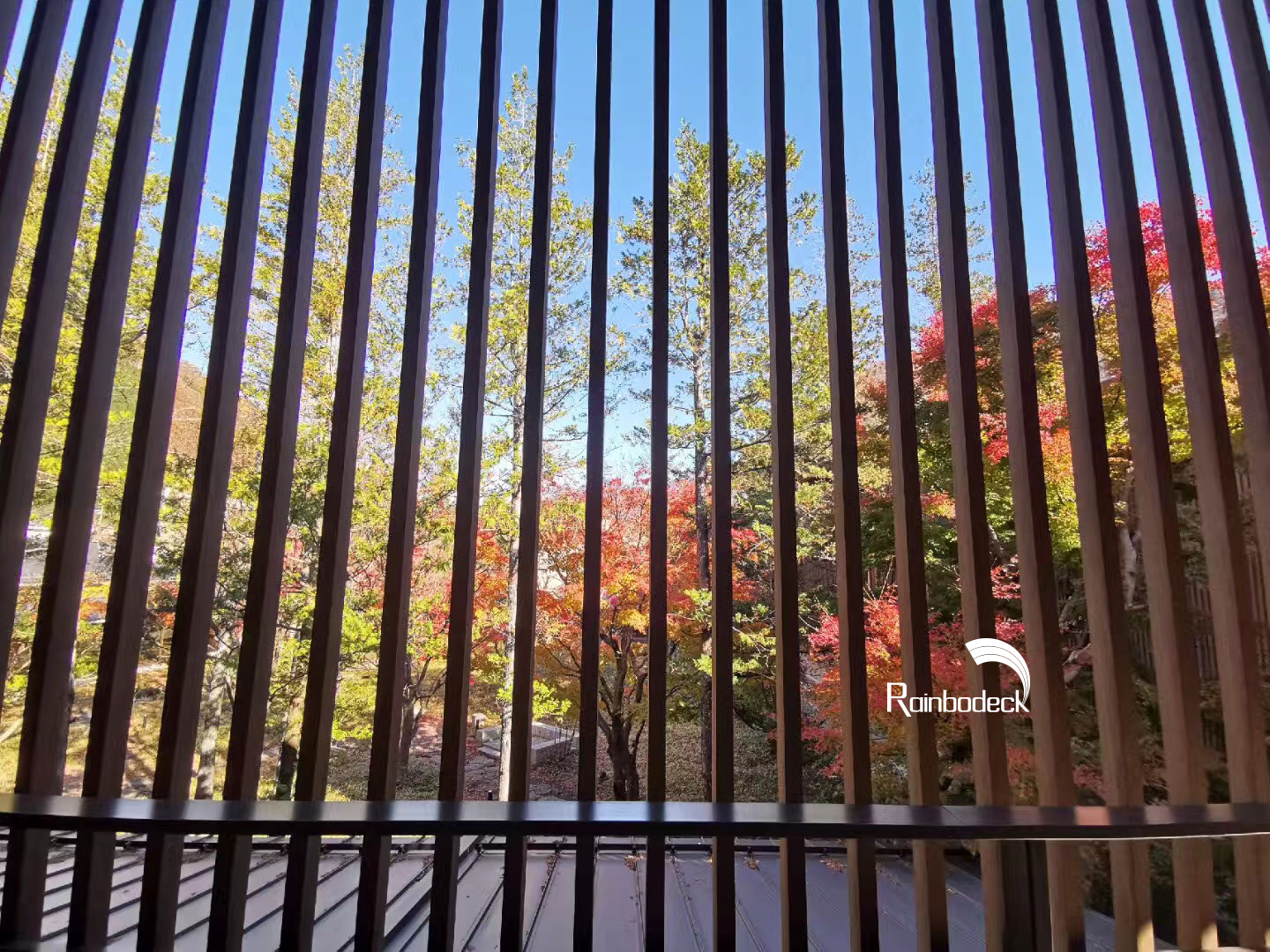 1641376333331534.jpg IMG_8615.JPG