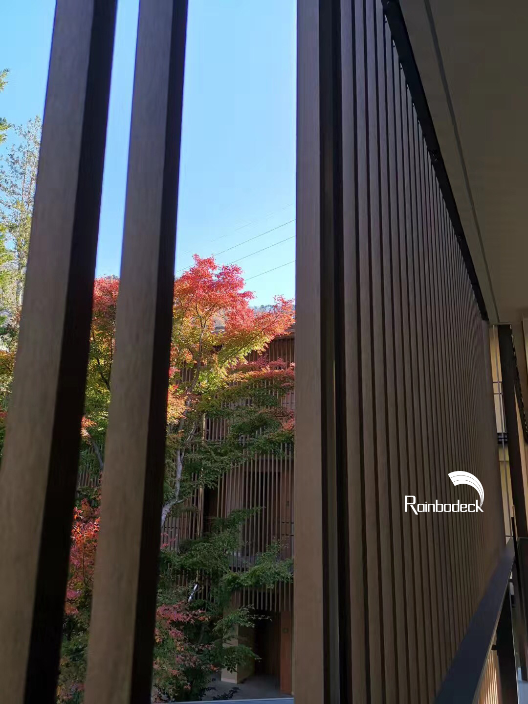 1641376387284271.jpg IMG_8614.JPG