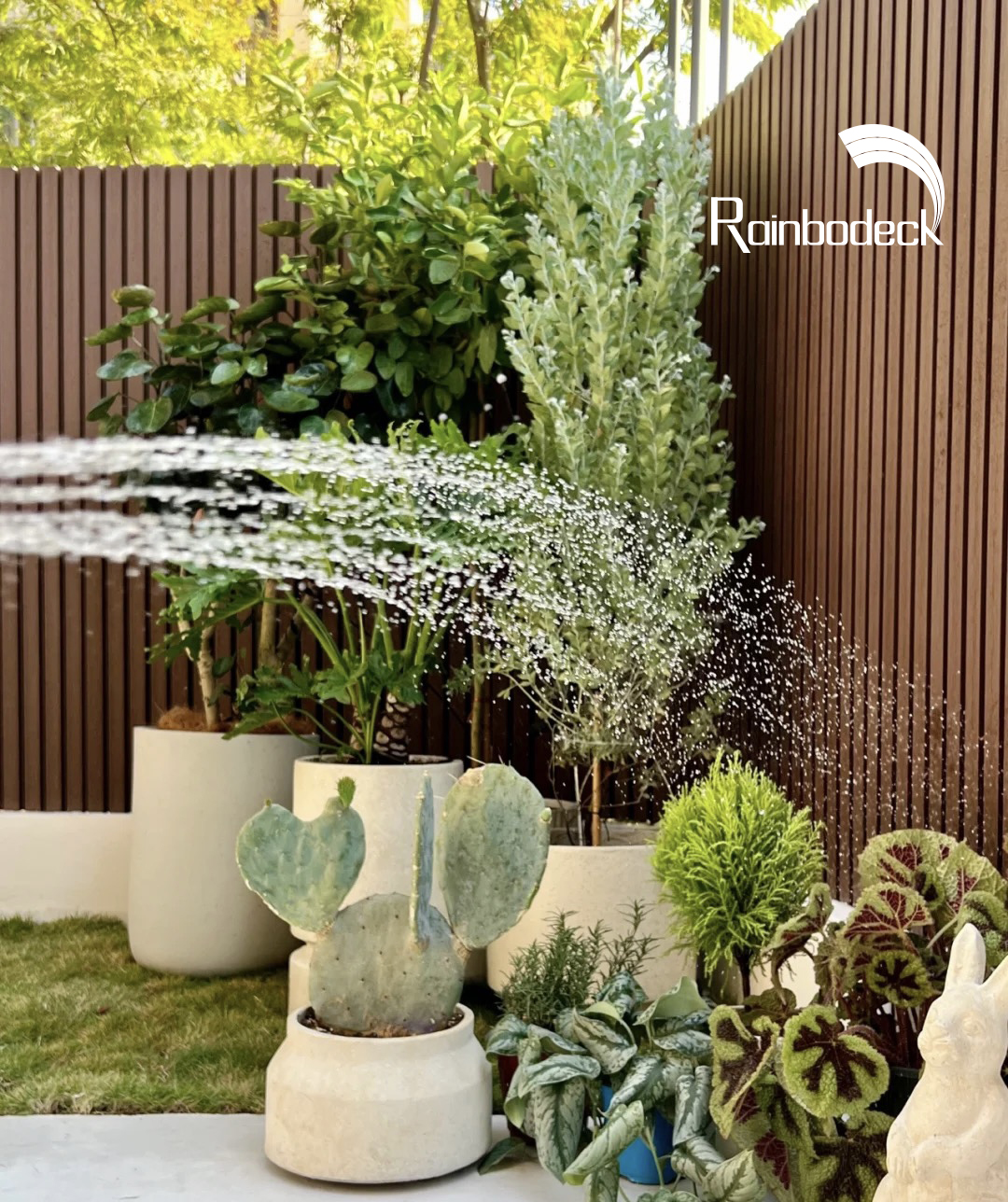 1641461913688826.jpg 24.jpg