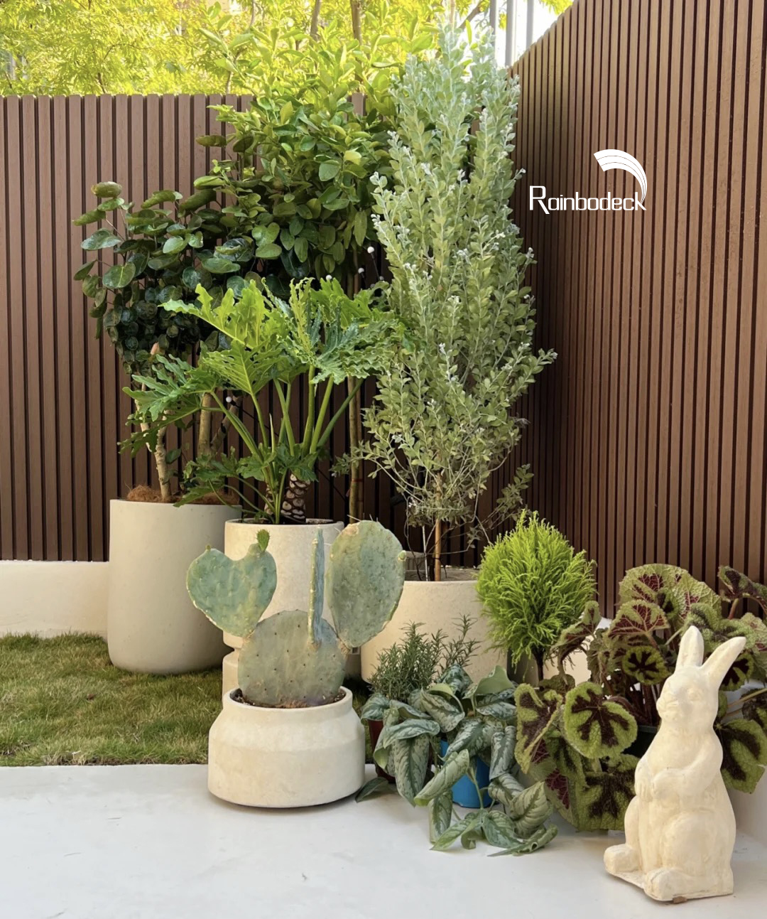 1641461936254565.jpg 27.jpg