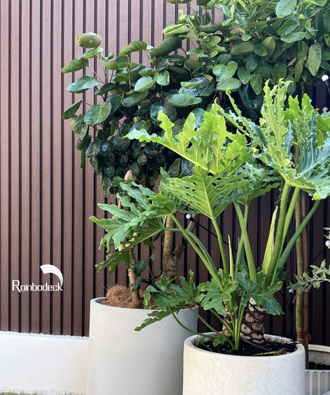 1641461949829428.jpg 28.jpg