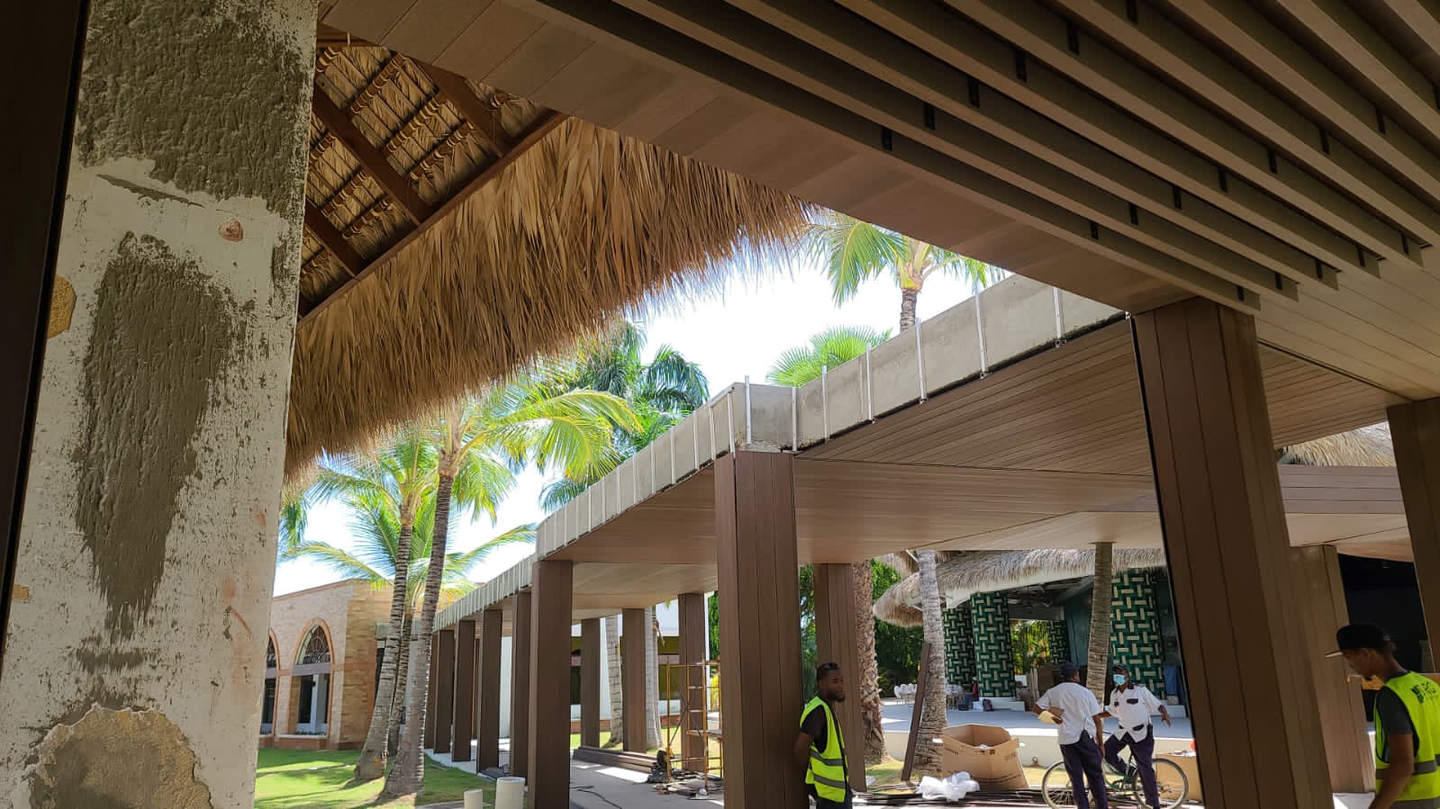 1641888548554261.jpg d33.jpg