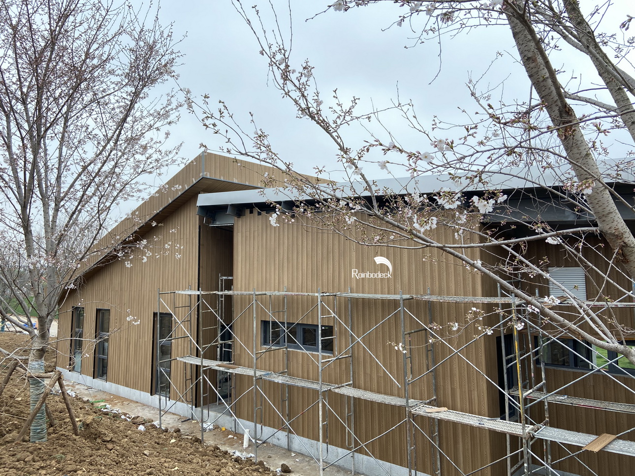 1642062687576666.jpg QB6_调整大小.jpg