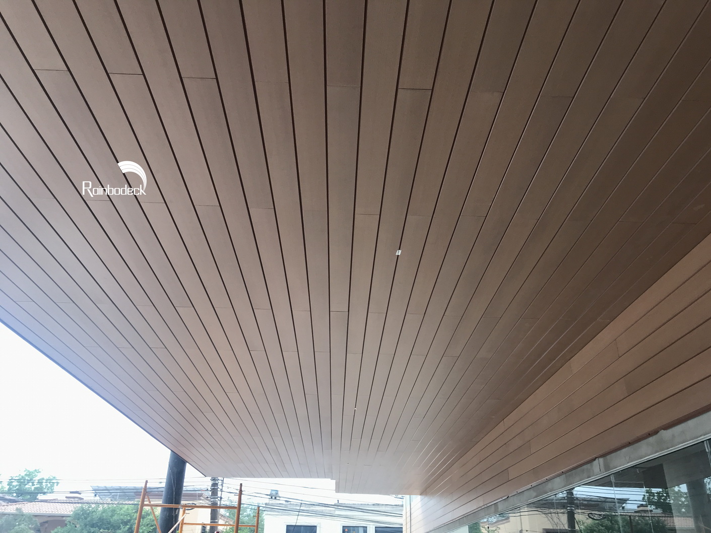 1642064397584777.jpg IMG_1716_调整大小.jpg