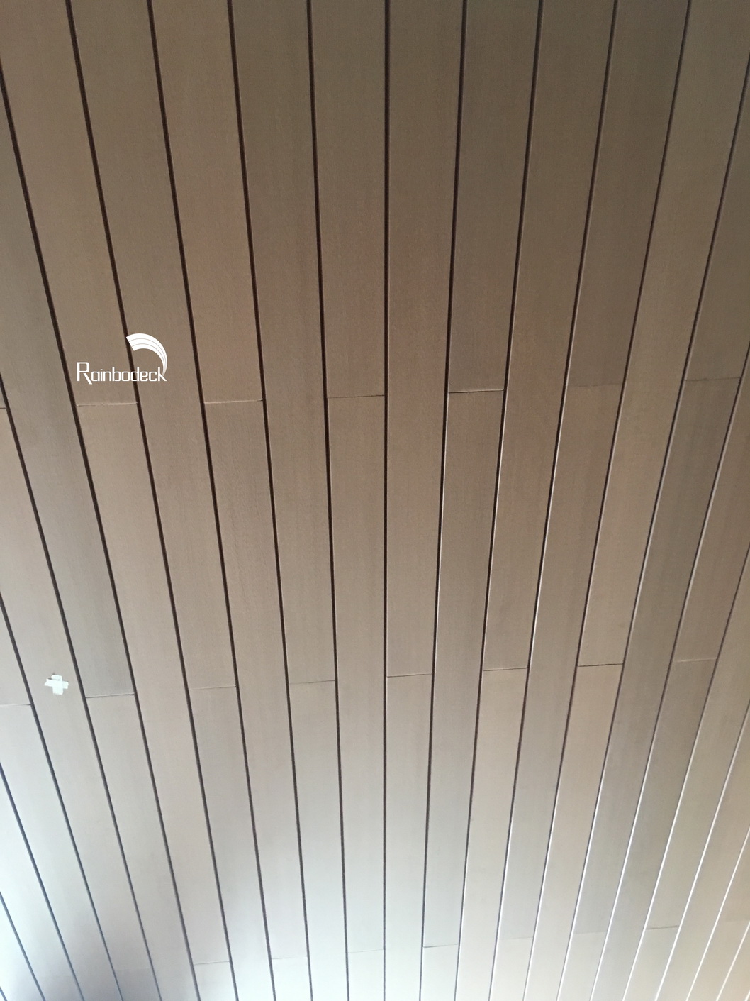 1642064421352869.jpg IMG_0541_调整大小.JPG