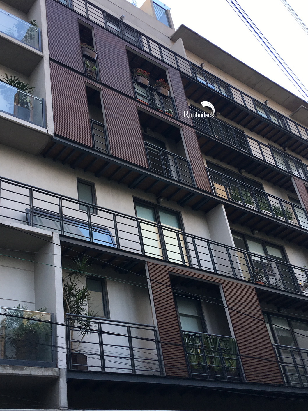 1642064650862568.jpg IMG_0481_调整大小.JPG