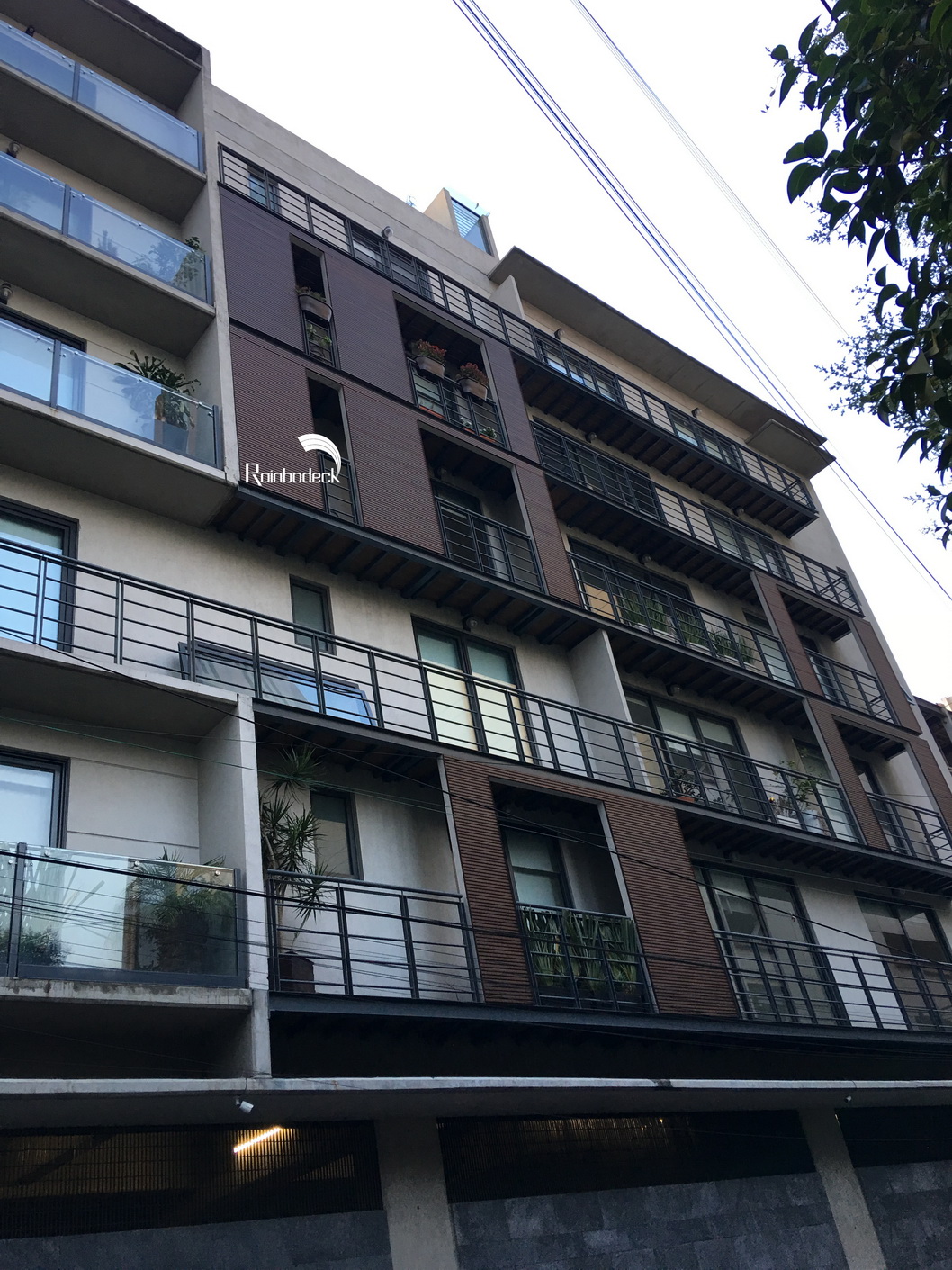 1642064656974482.jpg IMG_0480_调整大小.JPG