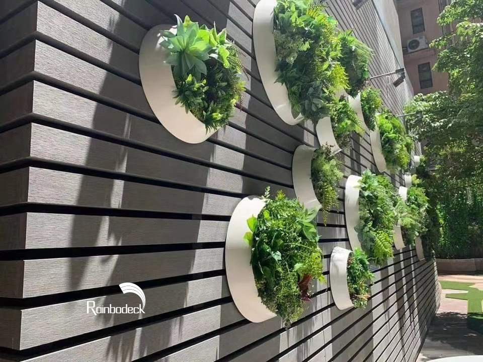 1642147494473559.jpg share2.jpg