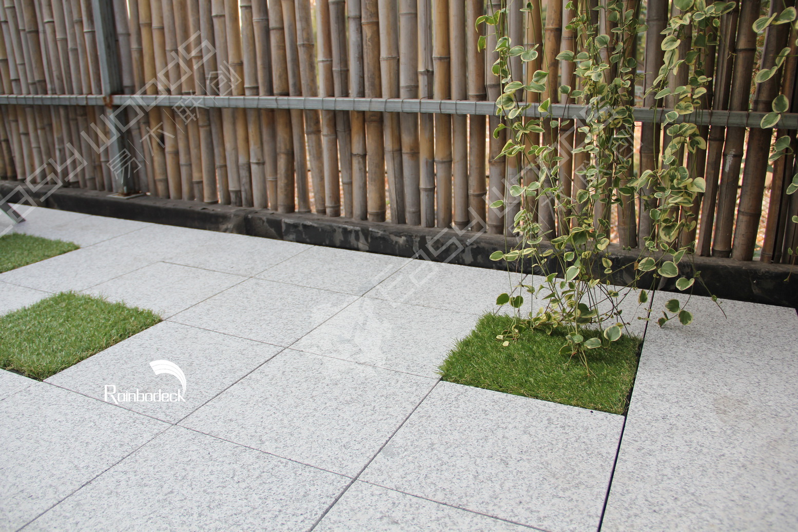 1642147917136893.jpg IMG_0291_调整大小.jpg