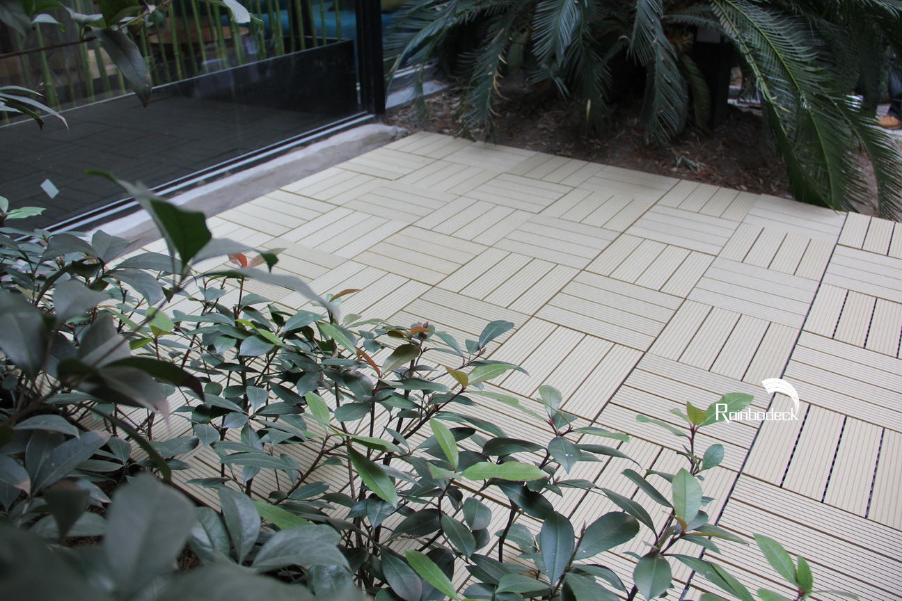 1642148108698089.jpg IMG_0925_调整大小.JPG