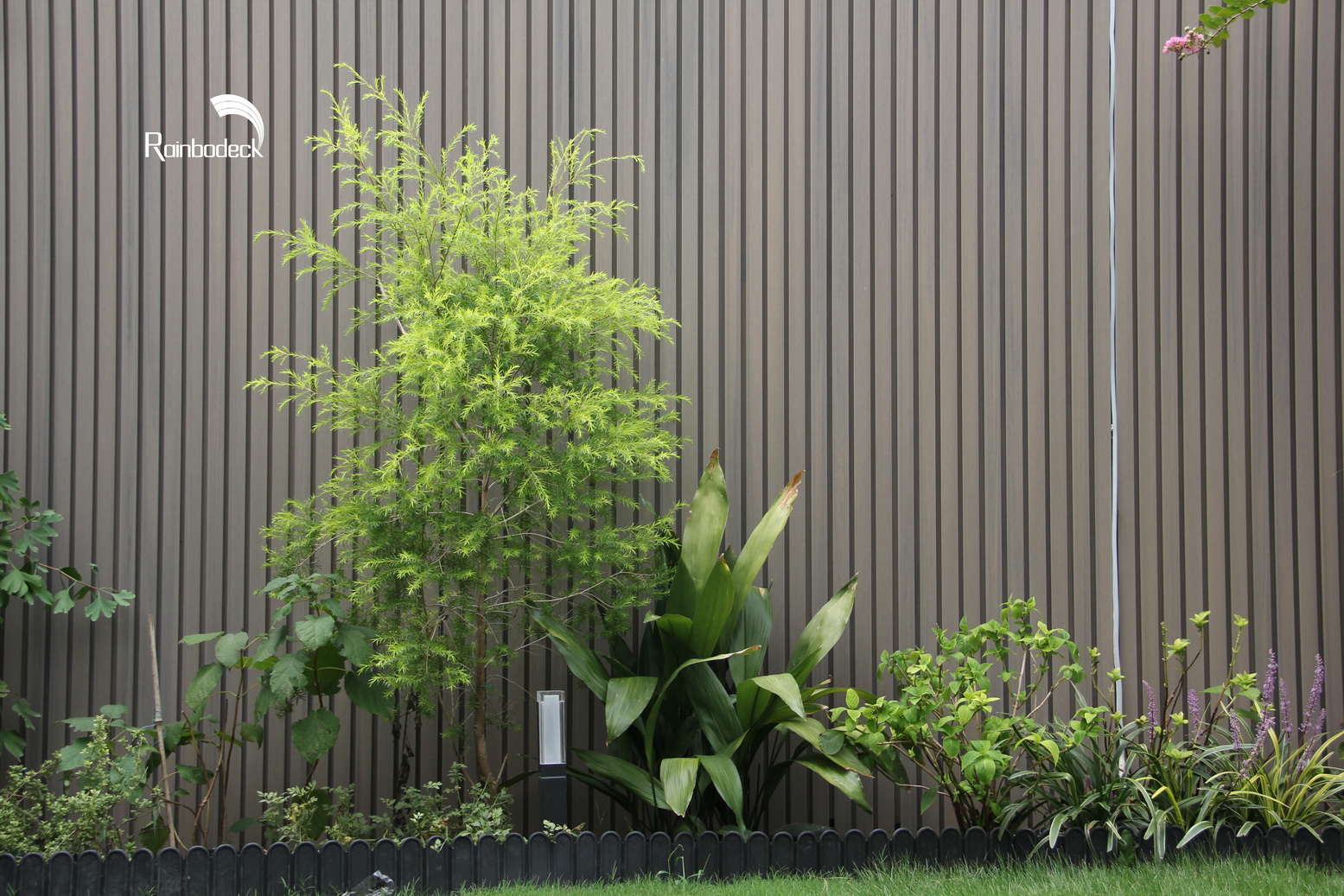 1642151984484981.jpg IMG_1025_调整大小.JPG